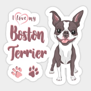 I Love My Boston Terrier! Especially for Boston Terrier Dog Lovers! Sticker